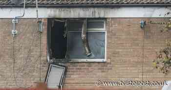 Young couple and their two dogs died in house fire caused by e-bike battery