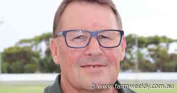 British and Australasian breeds put focus on young sheep for lamb potential