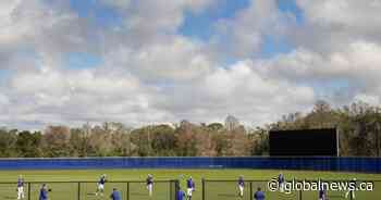 Blue Jays taking interest in hockey as camp opens