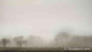 The Secret to Successful Photography Projects: An 11-Step Guide