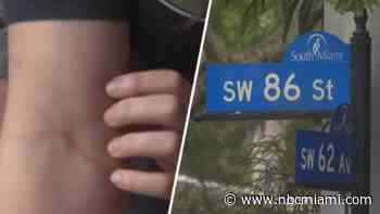 ‘He pushed me': Teen recalls fighting off attempted kidnapper in South Miami