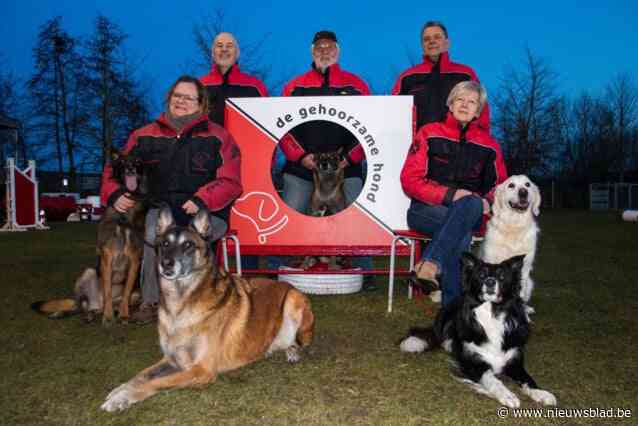 “Van pups tot toppers, hier helpen we iedereen”: hondenschool begint aan jubileumjaar met wintertornooi