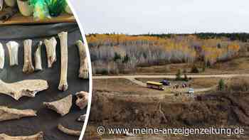 „Erschüttert alles, was wir zu wissen glaubten“: Antike Niederlassung offenbart Spuren indigener Zivilisationen