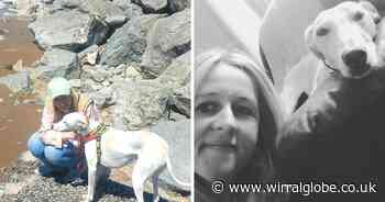 Rescue dog gives Wirral woman with vision loss 'freedom'