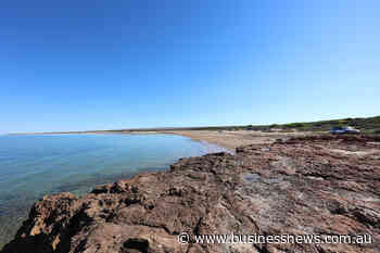 Investors sought for deepwater port