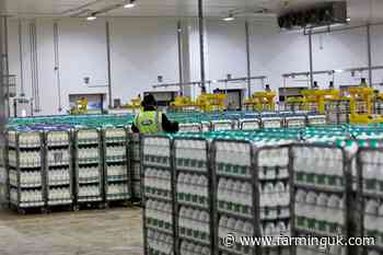 Arla posts revenue increase and expects bigger rise for 2025