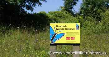 Kent Wildlife Trust is asking people to participate in the A229 consultation before 17th March.