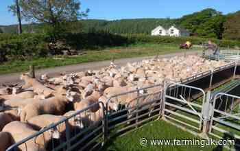 RamCompare hits milestone with call out for new ram nominations