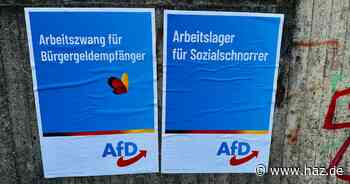 Arbeitslager? Sozialschnorrer? AfD will Anzeige wegen gefälschter Wahlplakate erstatten