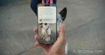Visual Intelligence feature coming to iPhone 15 Pro with a future iOS update