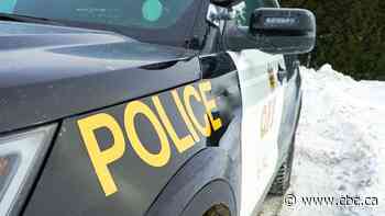 Ontario's beleaguered court system in campaign spotlight as Ford racks up police union endorsements