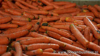 Telers bieden kwalitatief mindere peen aan