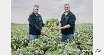 Spruitenveiling Gebr. Herbert levert ruim €17.000 op voor KiKa