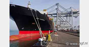 Totale overslag gedaald, maar containeroverslag nam toe in 2024 voor haven van Rotterdam