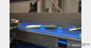 "Automatische oogst,- was- en sorteerlijn voor prei ontziet ons personeel"