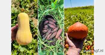 "We geloven al jaren in de kansen die Zuid-Afrika te bieden heeft"