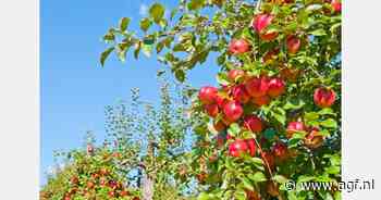 Investering van 150.000 euro in precisietractor voor duurzame fruitteelt