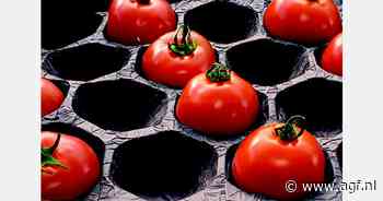 "Verpakkingstrends benadrukken duurzaamheid en logistieke optimalisatie"