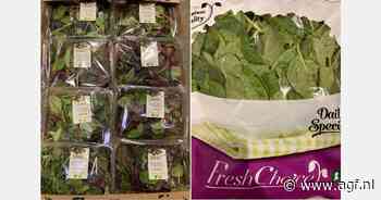 Deense babyleaf op groothandelsmarkt Hamburg