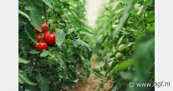 "Met cooperative equity creëren wij nu ook structurele groeimogelijkheden voor onze leden"