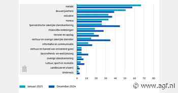 Aantal faillissementen blijft stabiel in januari 2025