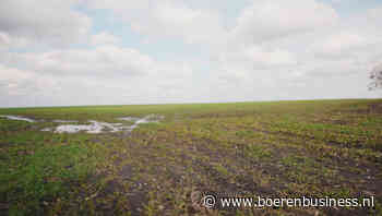 Lokaal is toch wat tarwe verzopen in Frankrijk