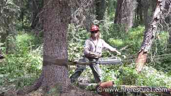 'This is 100% a safety thing': Fired forest workers say Trump cuts threaten safety, wildfire risk