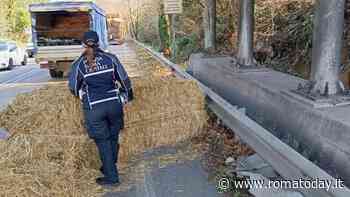 Camion perde carico di fieno sulla via del Mare dopo lo scontro con auto