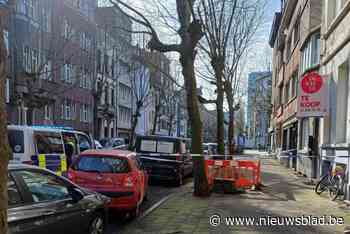 Man (53) gewond na steekpartij in Antwerpen, bewoner opgepakt: “Eerder al problemen in appartement”