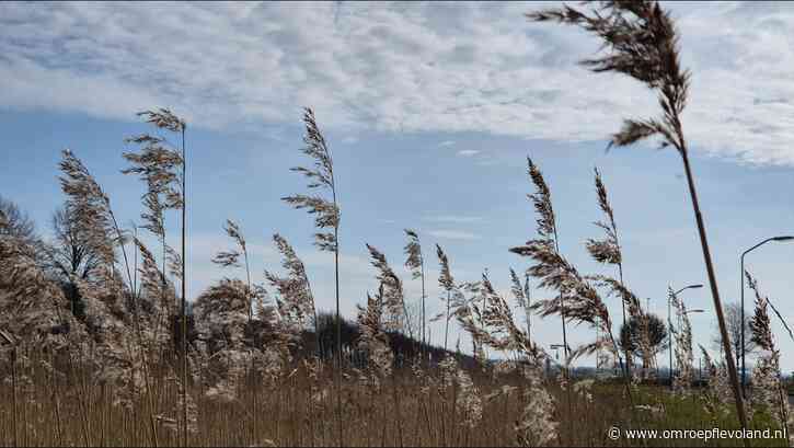 Flevoland - Eerste officiële lentedag van 2025 mét warmterecords in Flevoland een feit