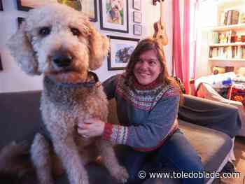 Peer-to-peer platform makes private dog parks available to all