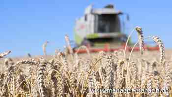 Russland: Tausende Firmen aus Deutschland weiter aktiv