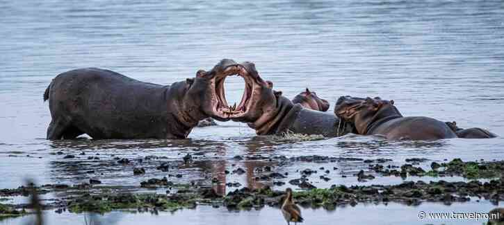 Untamed Travelling: studiereizen naar Laos en Zimbabwe