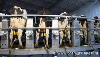 Nederlandse melkaanvoer januari laagst sinds 2015