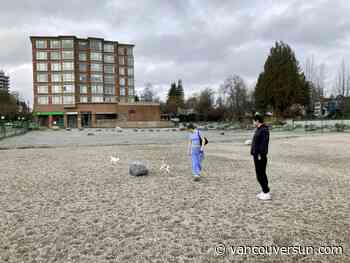 Makeshift dog parks hand Vancouver developers huge property-tax breaks