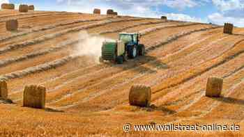 Vor möglichem Frieden: Ukraine-Aktie Kernel – Ist die Hausse berechtigt?