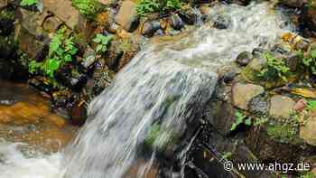 Geschäftsreisen: Nachhaltigkeit nur bei wenigen in der Richtlinie
