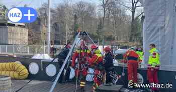 Unfall im Zoo Hannover: Arbeiter stürzt drei Meter tief in Pinguinbecken