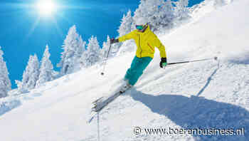 Aardappelmarkt maakt pittige afdaling