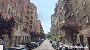 Dopo gli abbattimenti partono le piantumazioni: ecco dove saranno messi a dimora i nuovi alberi