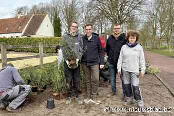 Leerlingen Atelier B mee aan de slag met Brugse groendienst: “Win-winsituatie”