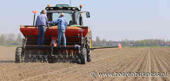 Uienprijs warmt op voor grove en goede kwaliteit