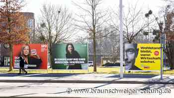Diese Politiker werden Salzgitter wohl im Bundestag vertreten
