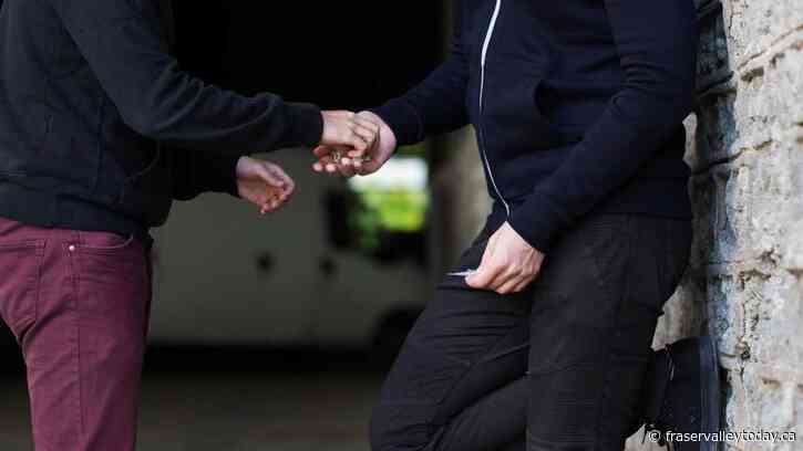 Agassiz-area authorities warn public against toxic drug supply