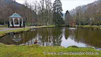 Gemeinderat Bad Liebenzell: Wie sehen die Pläne für die Eigenbetriebe aus?
