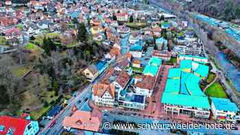 Energiewende in Bad Liebenzell: Das sagt der Ex-Klimaschutzmanager zur Kritik an seiner Arbeit