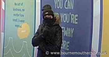 Police search for individual after reports of criminal damage in Poole