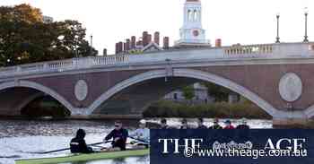 ‘Training at insane levels’: Inside the brutal, elite world of private school rowing