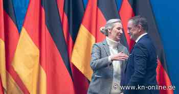 Was steht im AfD-Wahlprogramm? Zusammenfassung zur Bundestagswahl 2025