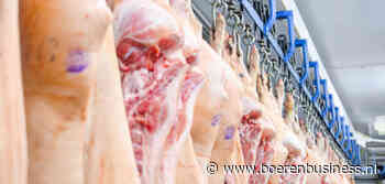 Slinkend varkensaanbod brengt het spel op de wagen